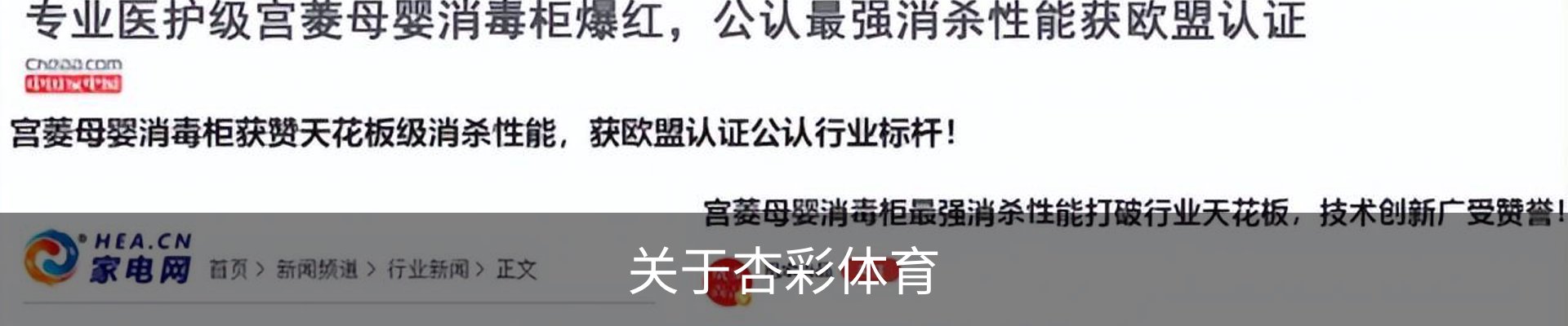 关于杏彩体育