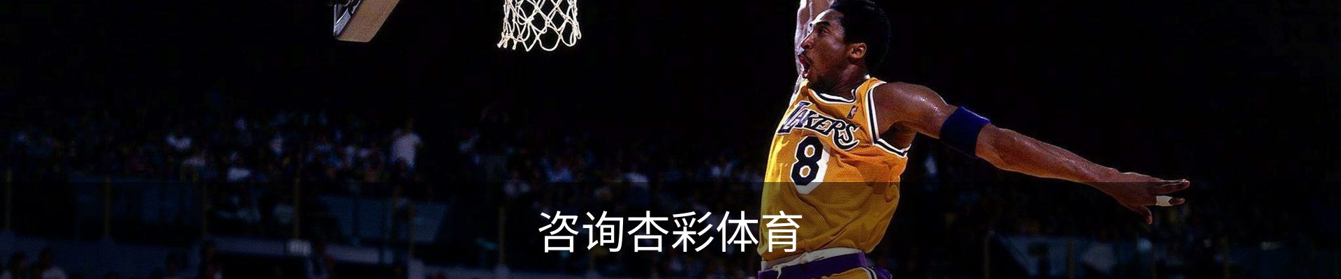 咨询杏彩体育