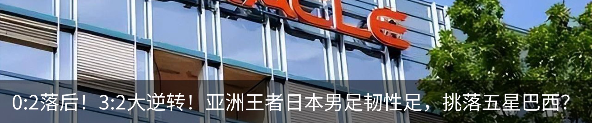 最新动态